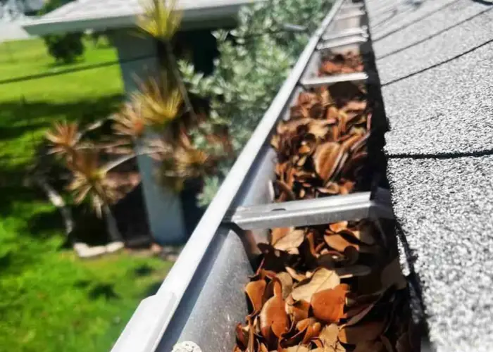 Madison gutter cleaning home page